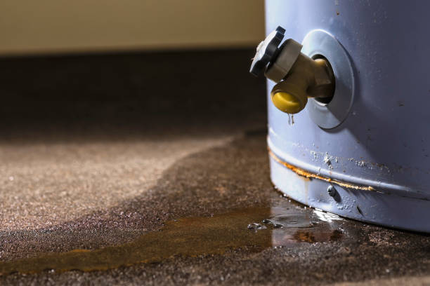 Best Flood damage cleanup  in Holmes Beach, FL
