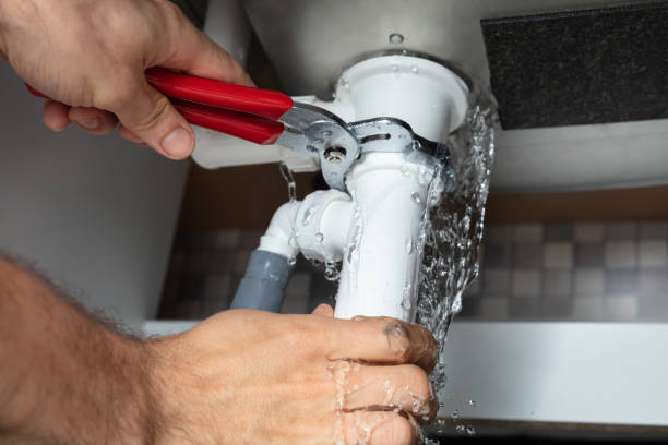 Best Water damage cleanup near me  in Holmes Beach, FL