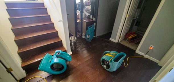 Best 24-hour water damage restoration  in Holmes Beach, FL