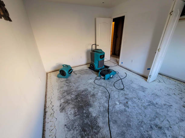 Best Flooded house restoration  in Holmes Beach, FL