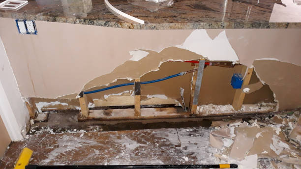Best Water damage restoration cost  in Holmes Beach, FL