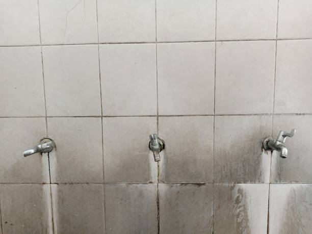  Holmes Beach, FL Water damage restoration Pros