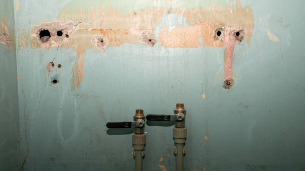 Best Ceiling water damage repair  in Holmes Beach, FL