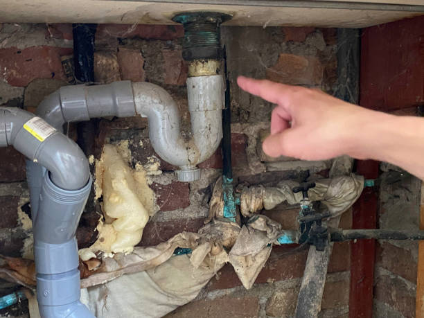 Professional Water damage restoration in Holmes Beach, FL