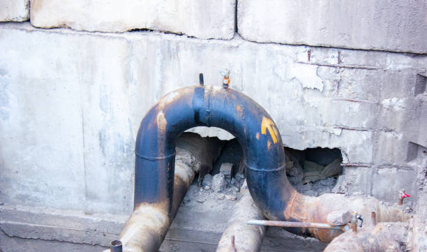 Best Basement water damage restoration  in Holmes Beach, FL