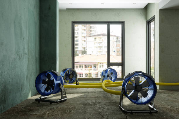 Best Fire Damage Restoration  in Holmes Beach, FL